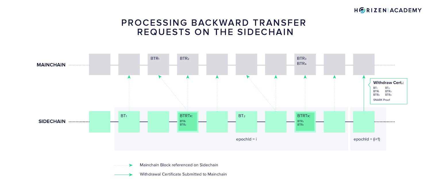 backward transfers sidechains