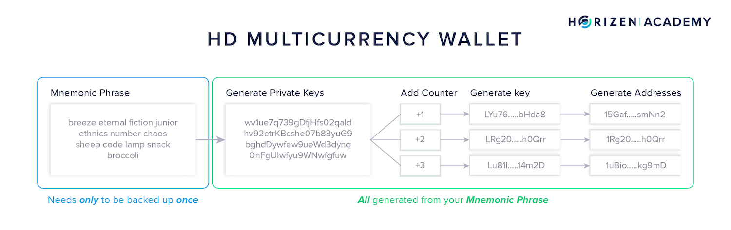 hd multicurrency wallet