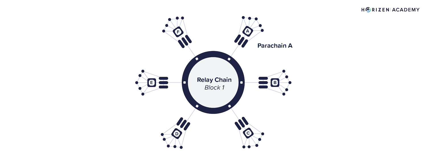 polkadot relay chain