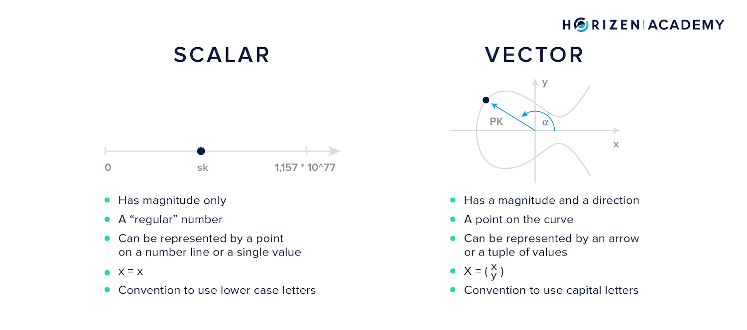 scalars vs vectors